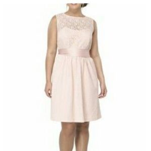 Blush Lace Dress